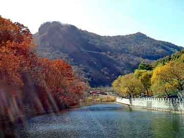 广东省深圳市塔吊驾驶证详解，探索与理解