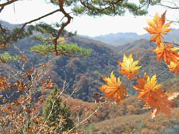 山西规范招投标流程，促进公平交易